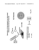 MULTI PLASMIDS SYSTEM FOR THE PRODUCTION OF INFLUENZA VIRUS diagram and image