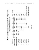 MULTI PLASMIDS SYSTEM FOR THE PRODUCTION OF INFLUENZA VIRUS diagram and image