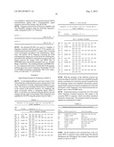 MULTI PLASMIDS SYSTEM FOR THE PRODUCTION OF INFLUENZA VIRUS diagram and image