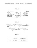 FLUORESCENT MOLECULE AND METHOD FOR DETECTING TARGET NUCLEIC ACID diagram and image