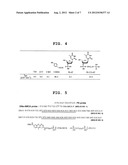 FLUORESCENT MOLECULE AND METHOD FOR DETECTING TARGET NUCLEIC ACID diagram and image