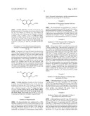 FLUORESCENT MOLECULE AND METHOD FOR DETECTING TARGET NUCLEIC ACID diagram and image