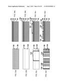 Miniaturized Microparticles diagram and image