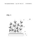 ASSAY METHOD AND KIT FOR ASSAY EMPLOYING SENSOR CHIP FOR FLUORESCENT     MEASURING APPARATUS UTILIZING SURFACE PLASMON-FIELD ENHANCED FLUORESCENCE     SPECTROMETRY diagram and image