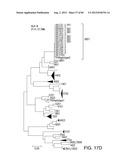 NON-INVASIVE DETERMINATION OF FETAL INHERITANCE OF PARENTAL HAPLOTYPES AT     THE GENOME-WIDE SCALE diagram and image