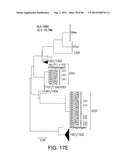 NON-INVASIVE DETERMINATION OF FETAL INHERITANCE OF PARENTAL HAPLOTYPES AT     THE GENOME-WIDE SCALE diagram and image