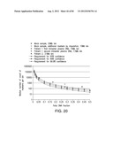 NON-INVASIVE DETERMINATION OF FETAL INHERITANCE OF PARENTAL HAPLOTYPES AT     THE GENOME-WIDE SCALE diagram and image