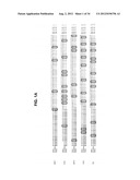 DIGITAL SEQUENCE ANALYSIS OF DNA METHYLATION diagram and image