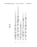 DIGITAL SEQUENCE ANALYSIS OF DNA METHYLATION diagram and image