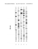 DIGITAL SEQUENCE ANALYSIS OF DNA METHYLATION diagram and image