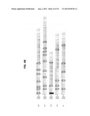 DIGITAL SEQUENCE ANALYSIS OF DNA METHYLATION diagram and image