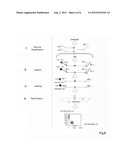 METHOD FOR DETECTION OR ANALYSIS OF TARGET SEQUENCE IN GENOMIC DNA diagram and image