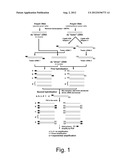 Methods For Monitoring Multiple Gene Expression diagram and image