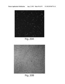 SYSTEMS, DEVICES, AND METHODS FOR ULTRA-SENSITIVE DETECTION OF MOLECULES     OR PARTICLES diagram and image