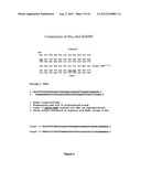 FUSION PROTEINS FOR DELIVERY OF GDNF AND BDNF TO THE CENTRAL NERVOUS     SYSTEM diagram and image