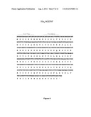 FUSION PROTEINS FOR DELIVERY OF GDNF AND BDNF TO THE CENTRAL NERVOUS     SYSTEM diagram and image