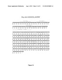 FUSION PROTEINS FOR DELIVERY OF GDNF AND BDNF TO THE CENTRAL NERVOUS     SYSTEM diagram and image