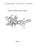 FUSION PROTEINS FOR DELIVERY OF GDNF AND BDNF TO THE CENTRAL NERVOUS     SYSTEM diagram and image