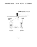 FUSION PROTEINS FOR DELIVERY OF GDNF AND BDNF TO THE CENTRAL NERVOUS     SYSTEM diagram and image