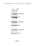 FUSION PROTEINS FOR DELIVERY OF GDNF AND BDNF TO THE CENTRAL NERVOUS     SYSTEM diagram and image