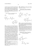 IL17 AND IFN-GAMMA INHIBITION FOR THE TREATMENT OF AUTOIMMUNE INFLAMMATION diagram and image