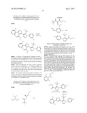 IL17 AND IFN-GAMMA INHIBITION FOR THE TREATMENT OF AUTOIMMUNE INFLAMMATION diagram and image