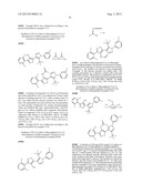 IL17 AND IFN-GAMMA INHIBITION FOR THE TREATMENT OF AUTOIMMUNE INFLAMMATION diagram and image