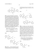 IL17 AND IFN-GAMMA INHIBITION FOR THE TREATMENT OF AUTOIMMUNE INFLAMMATION diagram and image