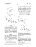 IL17 AND IFN-GAMMA INHIBITION FOR THE TREATMENT OF AUTOIMMUNE INFLAMMATION diagram and image