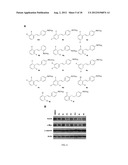 STILBENE ANALOGS AND METHODS OF TREATING CANCER diagram and image