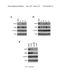 STILBENE ANALOGS AND METHODS OF TREATING CANCER diagram and image