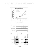 STILBENE ANALOGS AND METHODS OF TREATING CANCER diagram and image