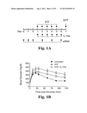 PREVENTING ISLET INFLAMMATION AND DYSFUNCTION AND MAINTAINING PROPER     GLUCOSE LEVELS BY CONTROLLING eIF5A  AND ITS HYPUSINATION diagram and image