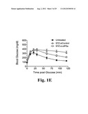 PREVENTING ISLET INFLAMMATION AND DYSFUNCTION AND MAINTAINING PROPER     GLUCOSE LEVELS BY CONTROLLING eIF5A  AND ITS HYPUSINATION diagram and image