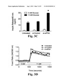 PREVENTING ISLET INFLAMMATION AND DYSFUNCTION AND MAINTAINING PROPER     GLUCOSE LEVELS BY CONTROLLING eIF5A  AND ITS HYPUSINATION diagram and image