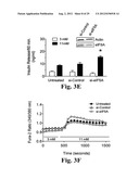 PREVENTING ISLET INFLAMMATION AND DYSFUNCTION AND MAINTAINING PROPER     GLUCOSE LEVELS BY CONTROLLING eIF5A  AND ITS HYPUSINATION diagram and image