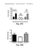 PREVENTING ISLET INFLAMMATION AND DYSFUNCTION AND MAINTAINING PROPER     GLUCOSE LEVELS BY CONTROLLING eIF5A  AND ITS HYPUSINATION diagram and image