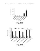 PREVENTING ISLET INFLAMMATION AND DYSFUNCTION AND MAINTAINING PROPER     GLUCOSE LEVELS BY CONTROLLING eIF5A  AND ITS HYPUSINATION diagram and image