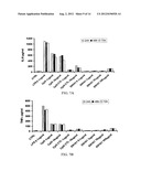 ANTISENSE OLIGONUCLEOTIDES AGAINST ACETYLCHOLINESTERASE FOR TREATING     INFLAMMATORY DISEASES diagram and image