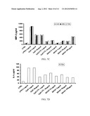 ANTISENSE OLIGONUCLEOTIDES AGAINST ACETYLCHOLINESTERASE FOR TREATING     INFLAMMATORY DISEASES diagram and image