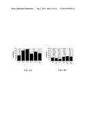 ANTISENSE OLIGONUCLEOTIDES AGAINST ACETYLCHOLINESTERASE FOR TREATING     INFLAMMATORY DISEASES diagram and image