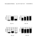 ANTISENSE OLIGONUCLEOTIDES AGAINST ACETYLCHOLINESTERASE FOR TREATING     INFLAMMATORY DISEASES diagram and image