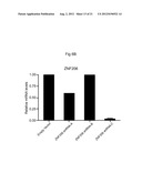 ZNF206: A NOVEL REGULATOR OF EMBRYONIC STEM CELL SELF-RENEWAL AND     PLURIPOTENCY diagram and image