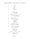 POLYMERS FOR DELIVERING A SUBSTANCE INTO A CELL diagram and image