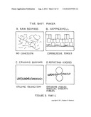 Composition of matter comprising of the creation of a low molecular weight     hydrocarbon fluid exhibiting mainly oligomerized pentenes mainly     comprised of 2-Methyl-2-Butene subunits as well as related plant     isoprenoids composed of 2-Methyl-1-Butene subunits and other hydrocarbons     from Euphorbia tirucalli biomass and a process for the extraction and     refinement in making the same composition through the creation of solvent     permeable batting mat and a multi-phase solvent extraction diagram and image