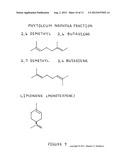 Composition of matter comprising of the creation of a low molecular weight     hydrocarbon fluid exhibiting mainly oligomerized pentenes mainly     comprised of 2-Methyl-2-Butene subunits as well as related plant     isoprenoids composed of 2-Methyl-1-Butene subunits and other hydrocarbons     from Euphorbia tirucalli biomass and a process for the extraction and     refinement in making the same composition through the creation of solvent     permeable batting mat and a multi-phase solvent extraction diagram and image