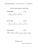 Composition of matter comprising of the creation of a low molecular weight     hydrocarbon fluid exhibiting mainly oligomerized pentenes mainly     comprised of 2-Methyl-2-Butene subunits as well as related plant     isoprenoids composed of 2-Methyl-1-Butene subunits and other hydrocarbons     from Euphorbia tirucalli biomass and a process for the extraction and     refinement in making the same composition through the creation of solvent     permeable batting mat and a multi-phase solvent extraction diagram and image