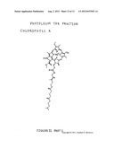 Composition of matter comprising of the creation of a low molecular weight     hydrocarbon fluid exhibiting mainly oligomerized pentenes mainly     comprised of 2-Methyl-2-Butene subunits as well as related plant     isoprenoids composed of 2-Methyl-1-Butene subunits and other hydrocarbons     from Euphorbia tirucalli biomass and a process for the extraction and     refinement in making the same composition through the creation of solvent     permeable batting mat and a multi-phase solvent extraction diagram and image