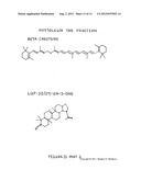 Composition of matter comprising of the creation of a low molecular weight     hydrocarbon fluid exhibiting mainly oligomerized pentenes mainly     comprised of 2-Methyl-2-Butene subunits as well as related plant     isoprenoids composed of 2-Methyl-1-Butene subunits and other hydrocarbons     from Euphorbia tirucalli biomass and a process for the extraction and     refinement in making the same composition through the creation of solvent     permeable batting mat and a multi-phase solvent extraction diagram and image