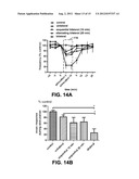 BILATERAL ELECTRICAL STIMULATION THERAPY FOR BLADDER DYSFUNCTION diagram and image